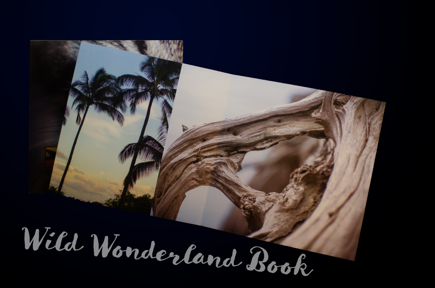 Wild Wonderland Book