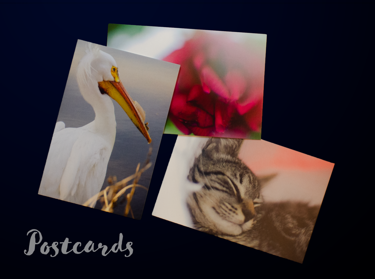 Postcards - pack of 5