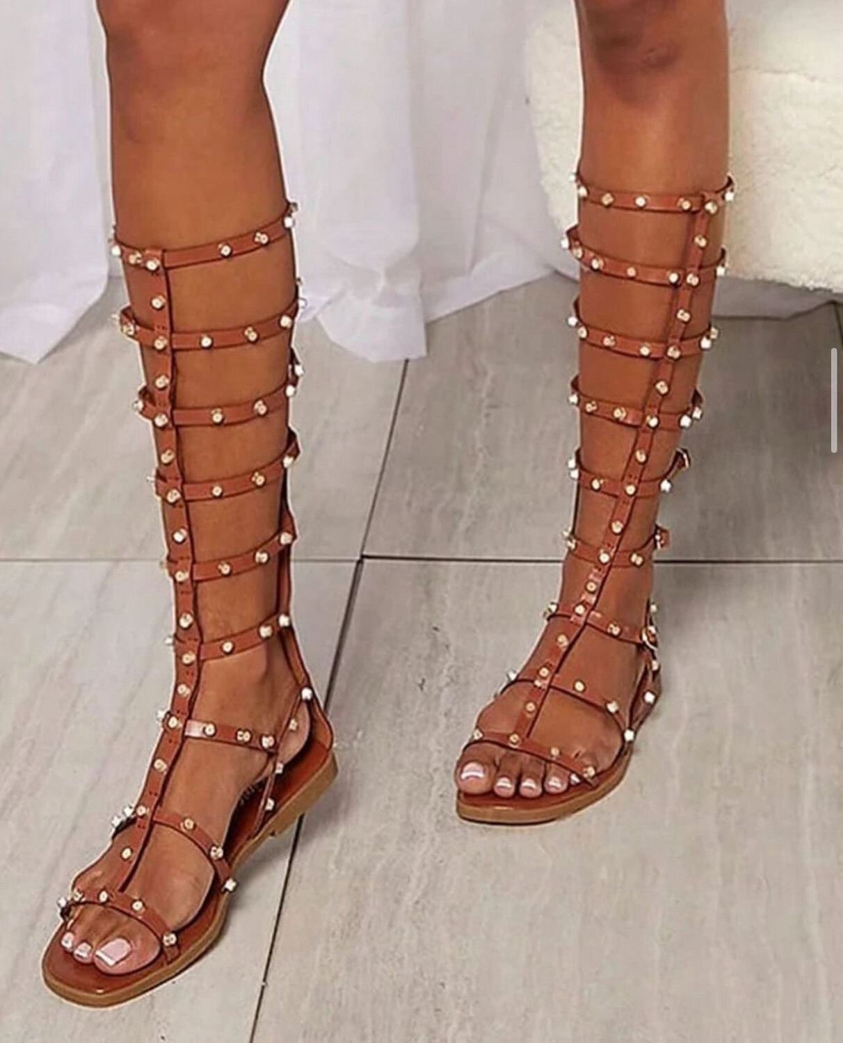 Gladiators With Gold Stud