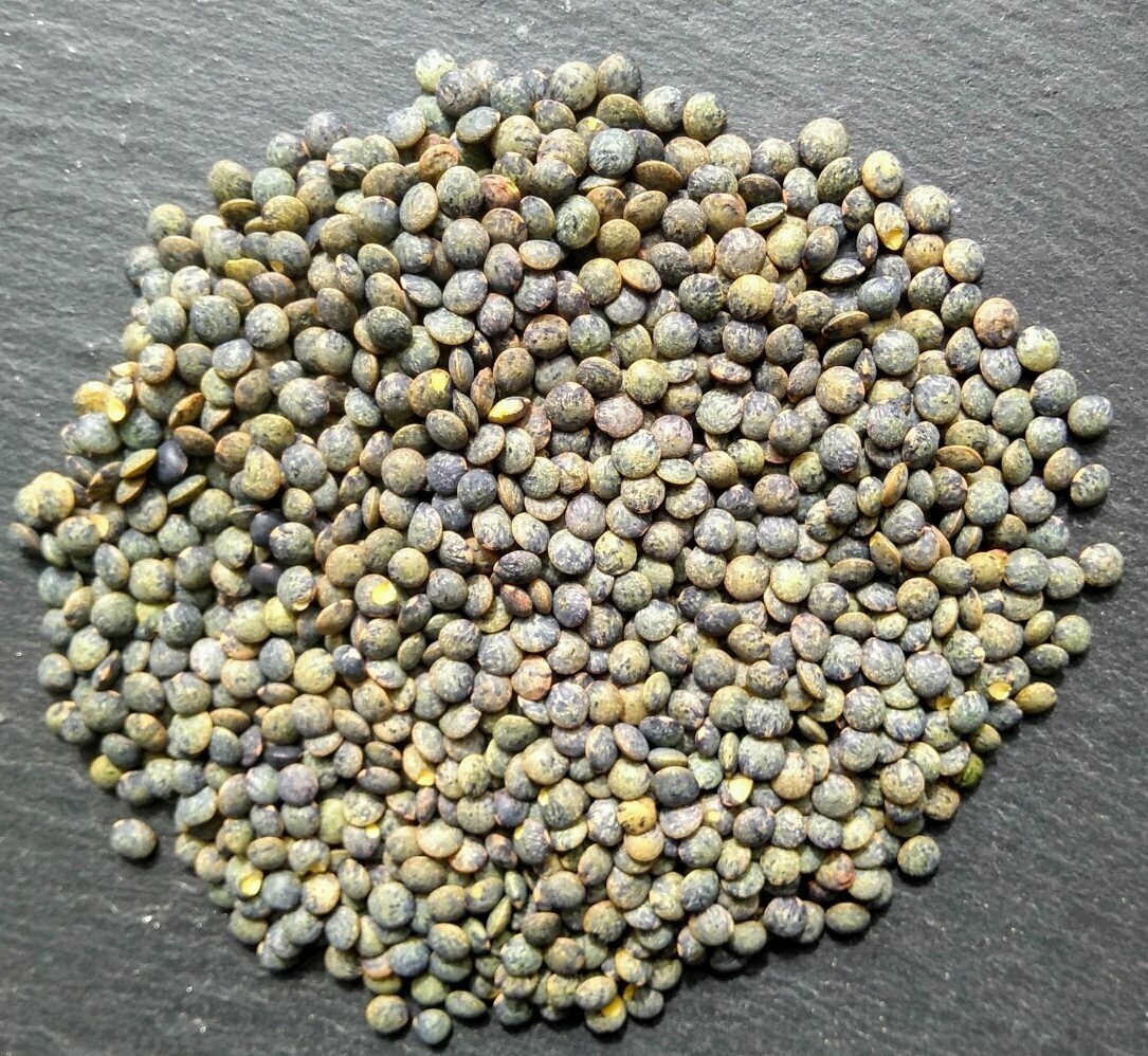 Lentilles Vertes Vrac 500gr