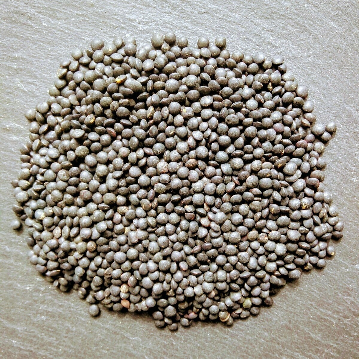 Lentilles Beluga Vrac / 500 gr