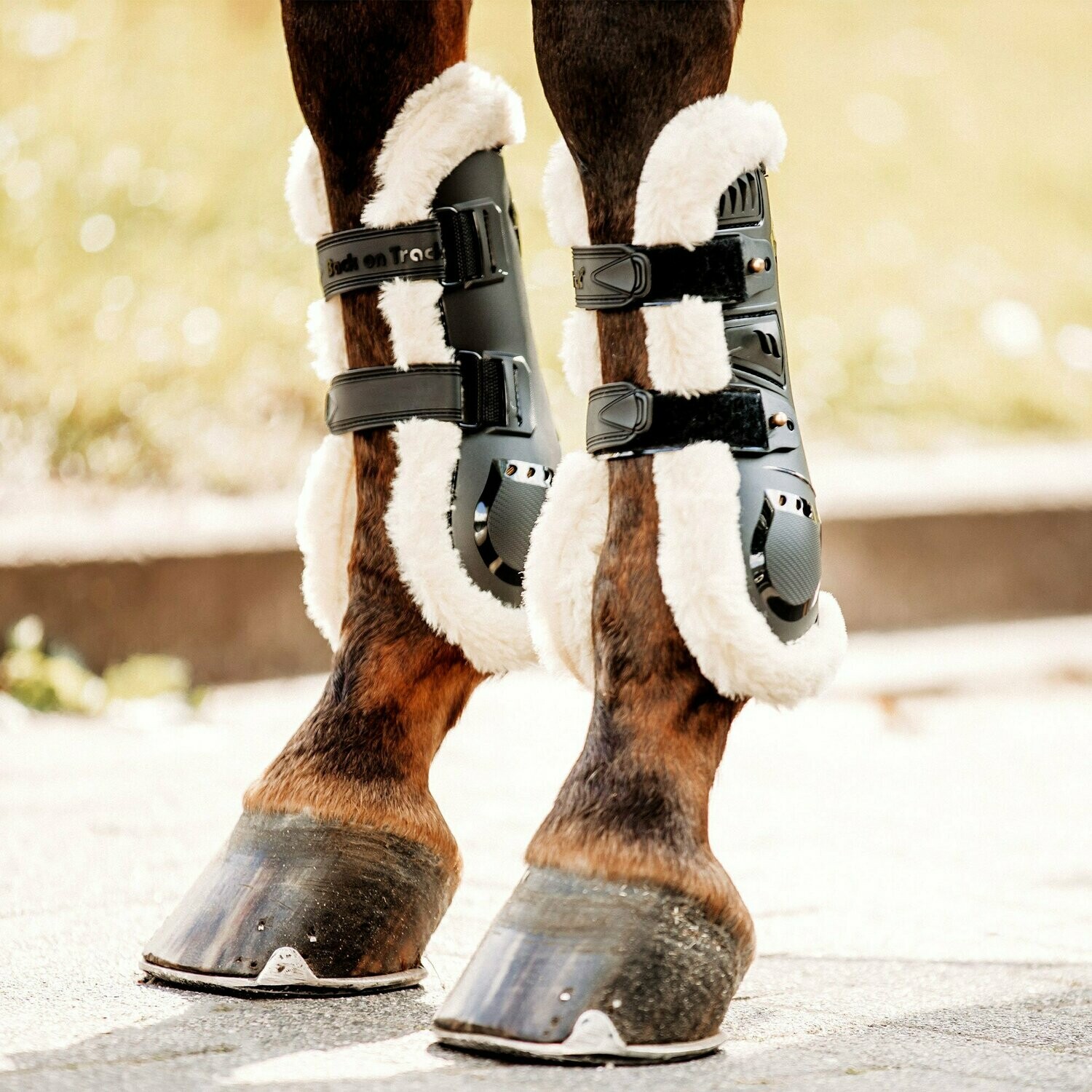 Air Flow Tendon Boots mit Fell