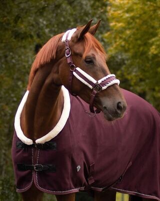 Halfterset Diamond
