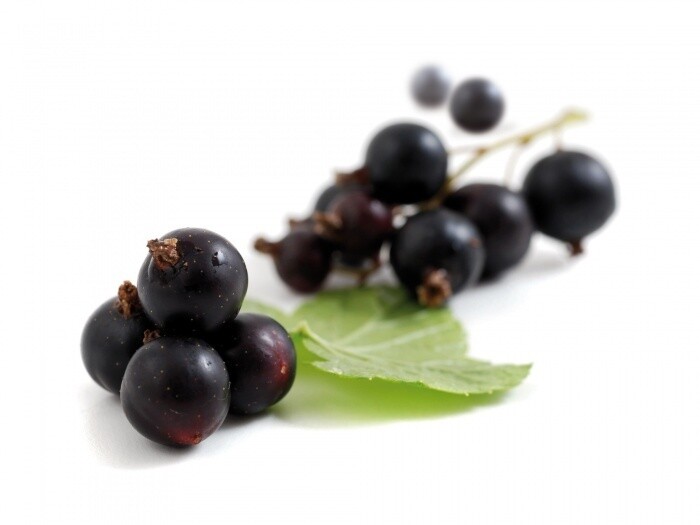 parfum blackcurrant