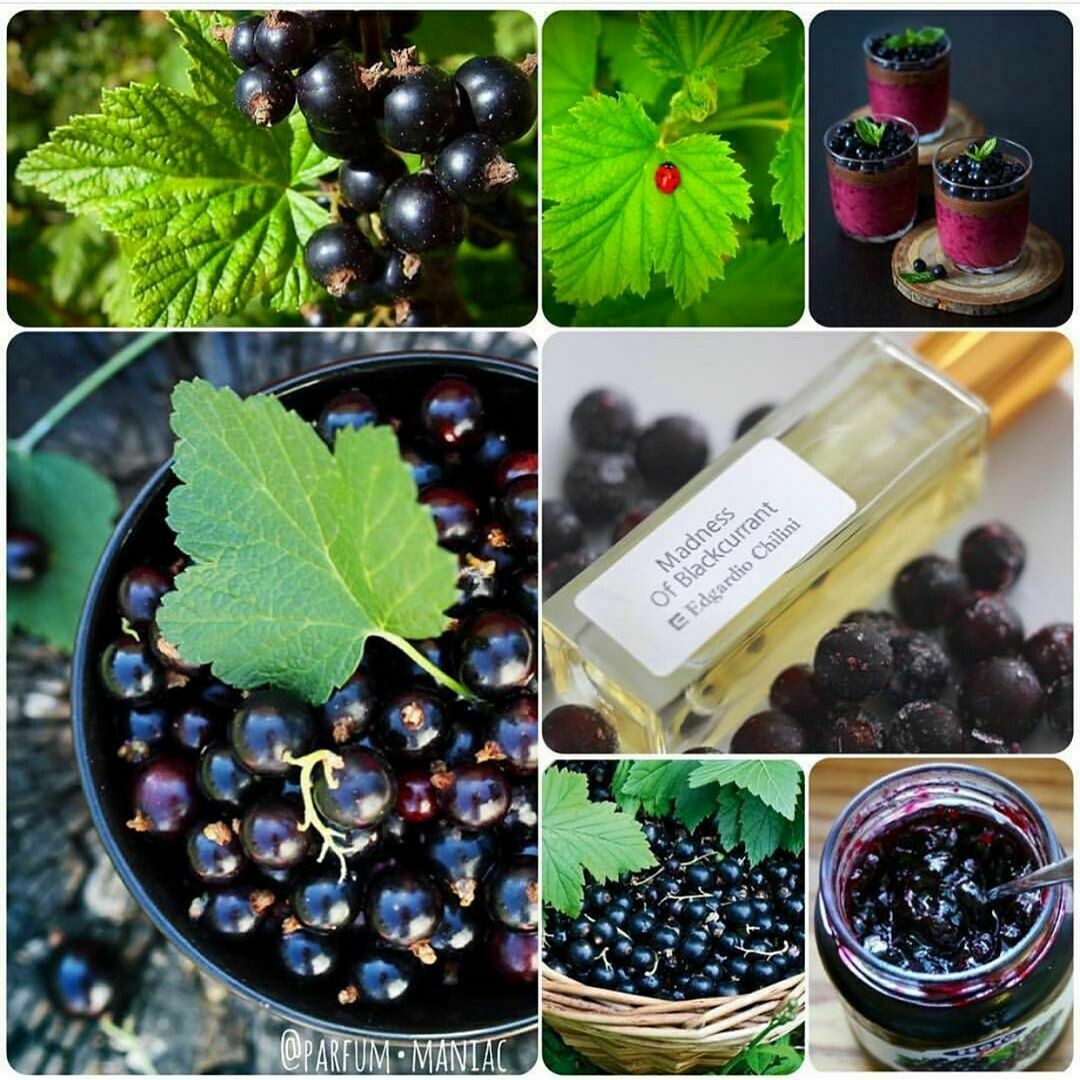 parfum blackcurrant