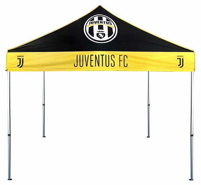 10 FT X 10 FT POP-UP CANOPY