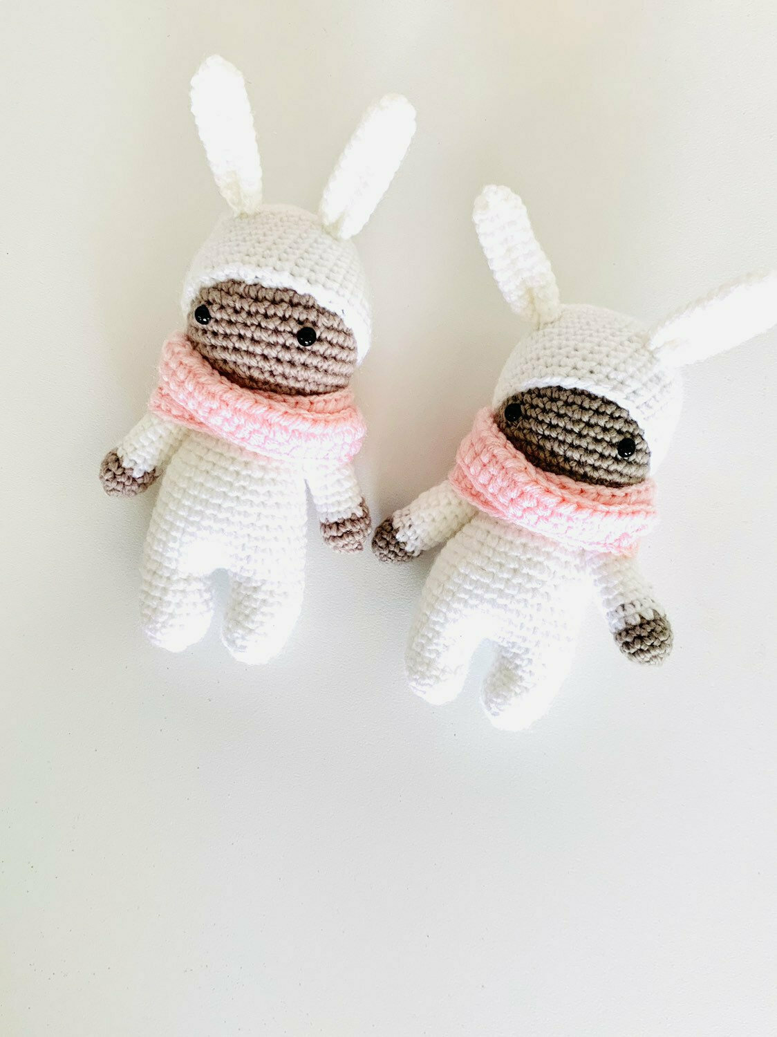 Bunny Rabbit