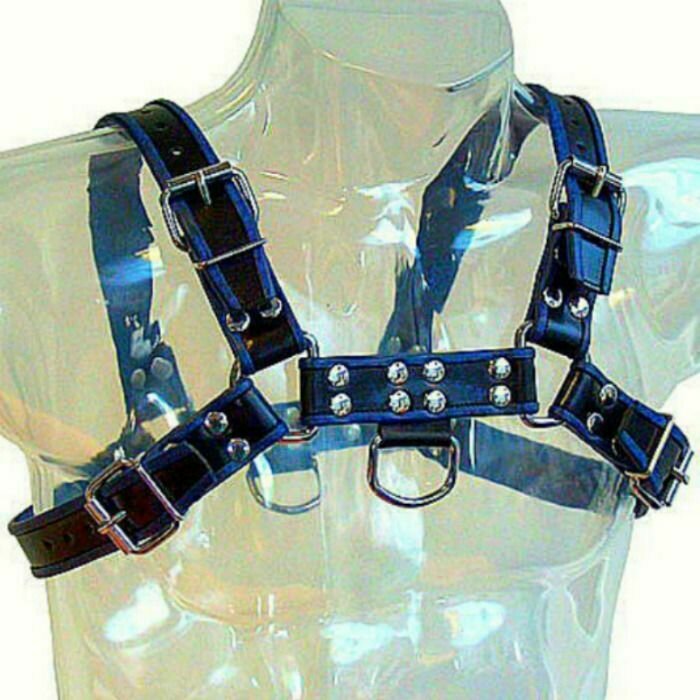 METAL HARD ARNES CUERO AZUL Y NEGRO CHEST BULLDOG