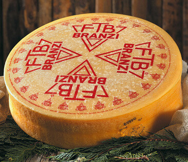 Simply Cheese