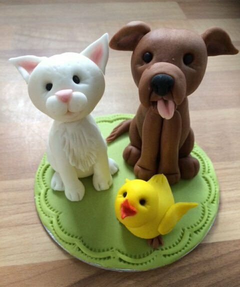 Modelling Course:   Simple Animal Modelling  - 2.5 hours - Date to be arranged