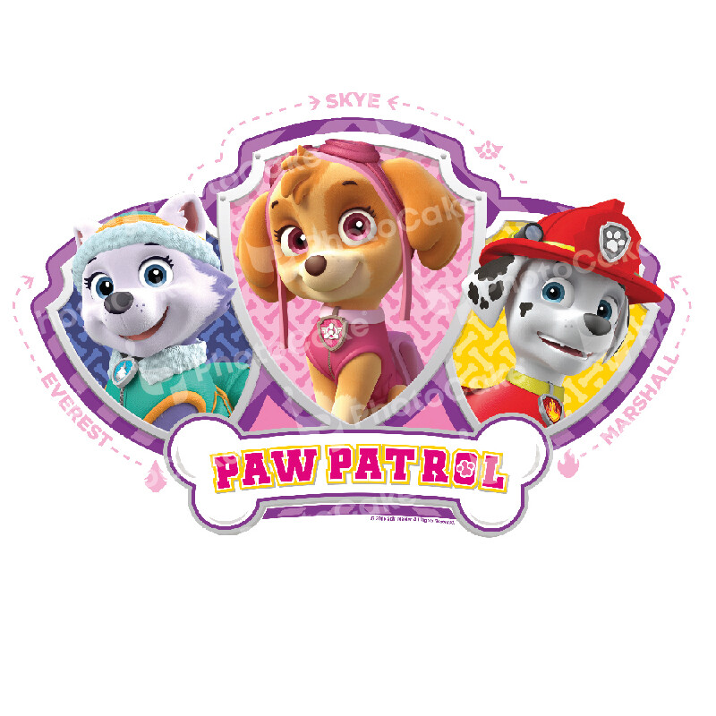 PI8430 -Paw Patrol - Image