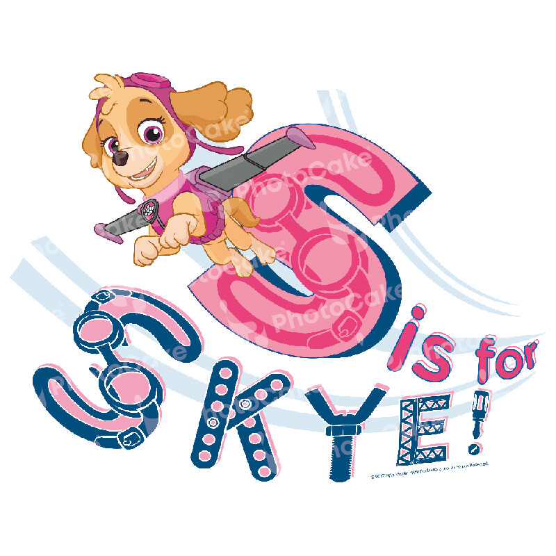 PI22573 -Paw Patrol - Image