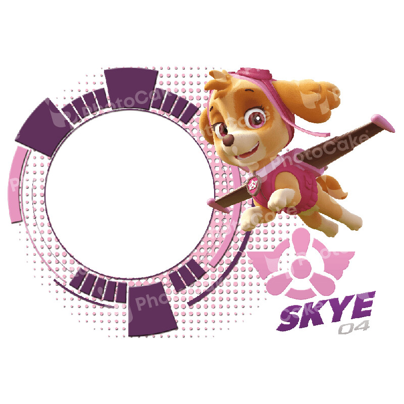 PI18731 -Paw Patrol - Image with photo