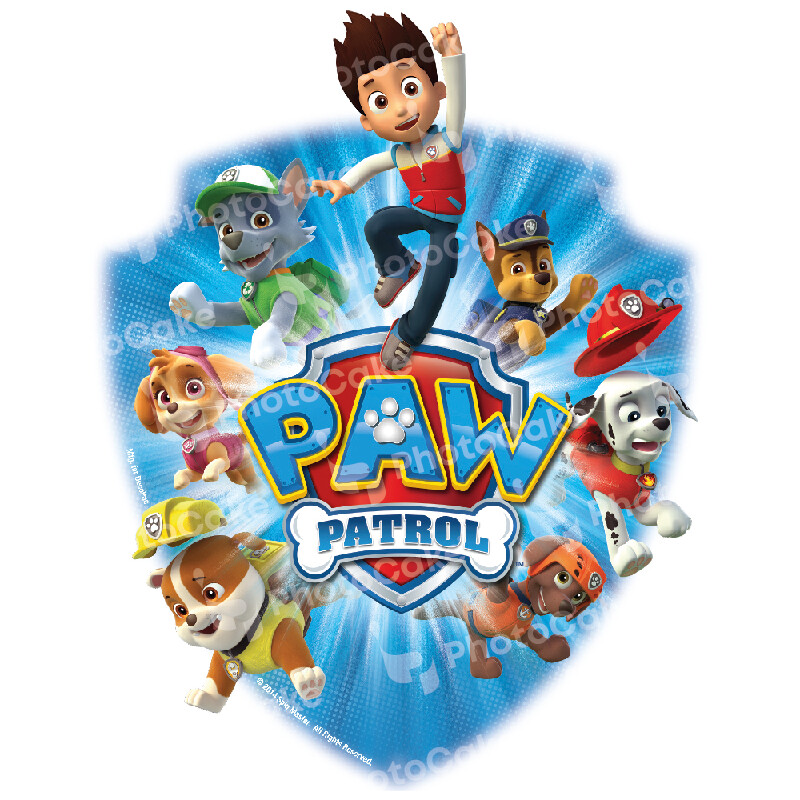 PI4981 -Paw Patrol - Image