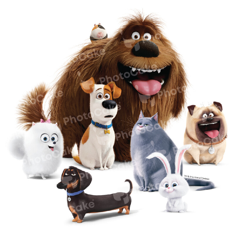 PI23492 - Secret Life of Pets - Image