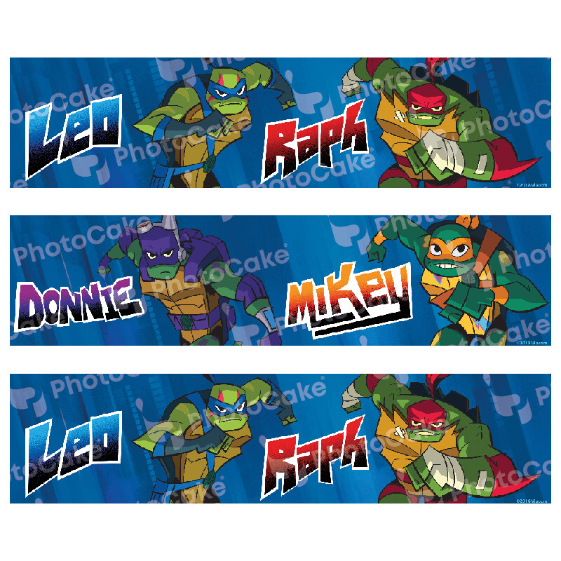 PI24497 - Teenage Mutant Ninja Turtles - 2.25" x 11" strips