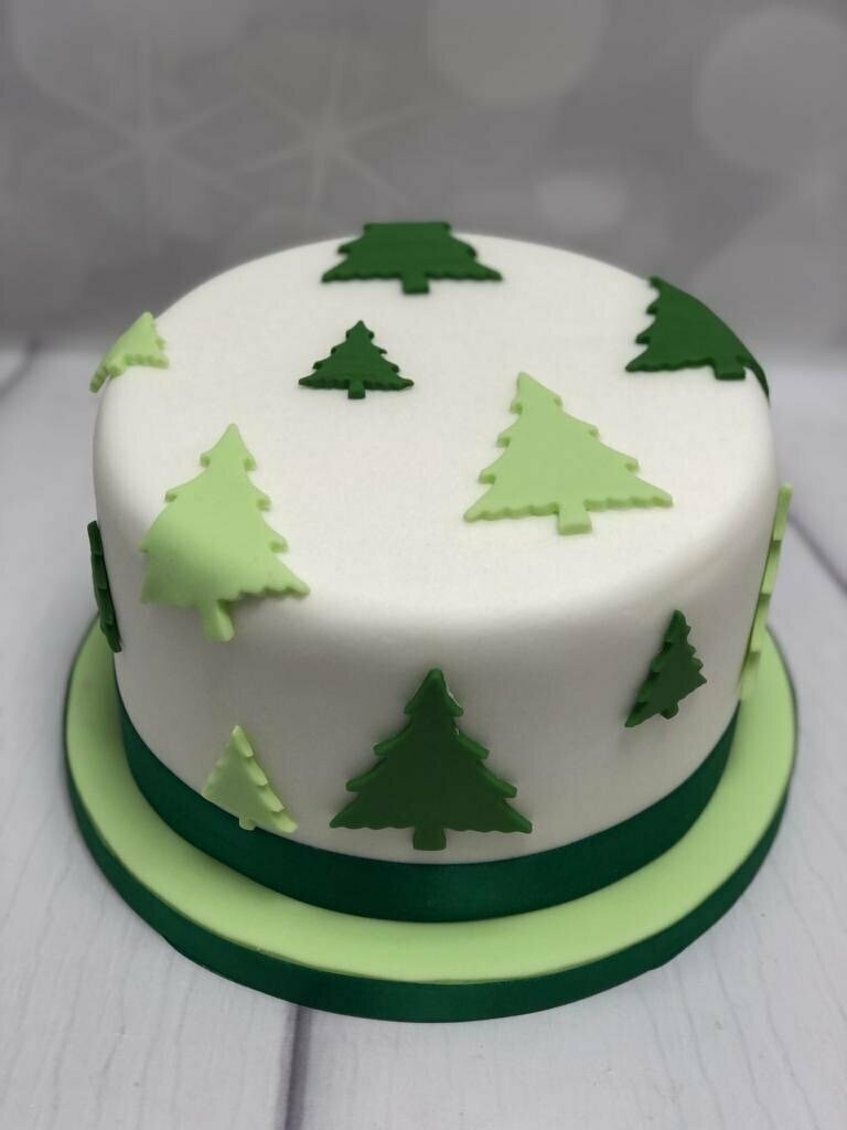 Christmas Intro into Cake Decorating Course - Wednesday 12th November - 7pm to 9.30pm