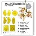 JEM Small Cymbidium Orchid - Set of 8
103FF038