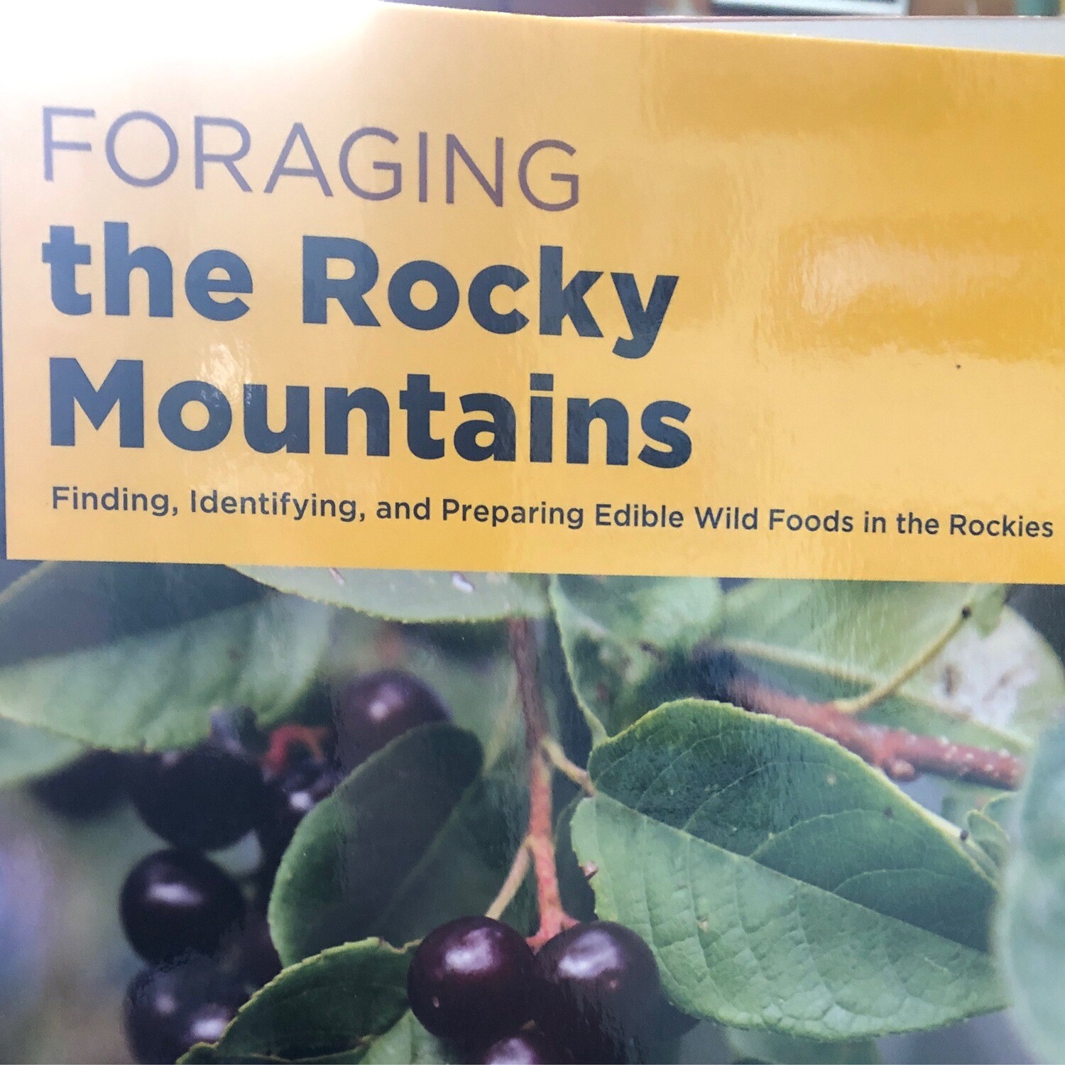 Foraging The Rocky Mountains