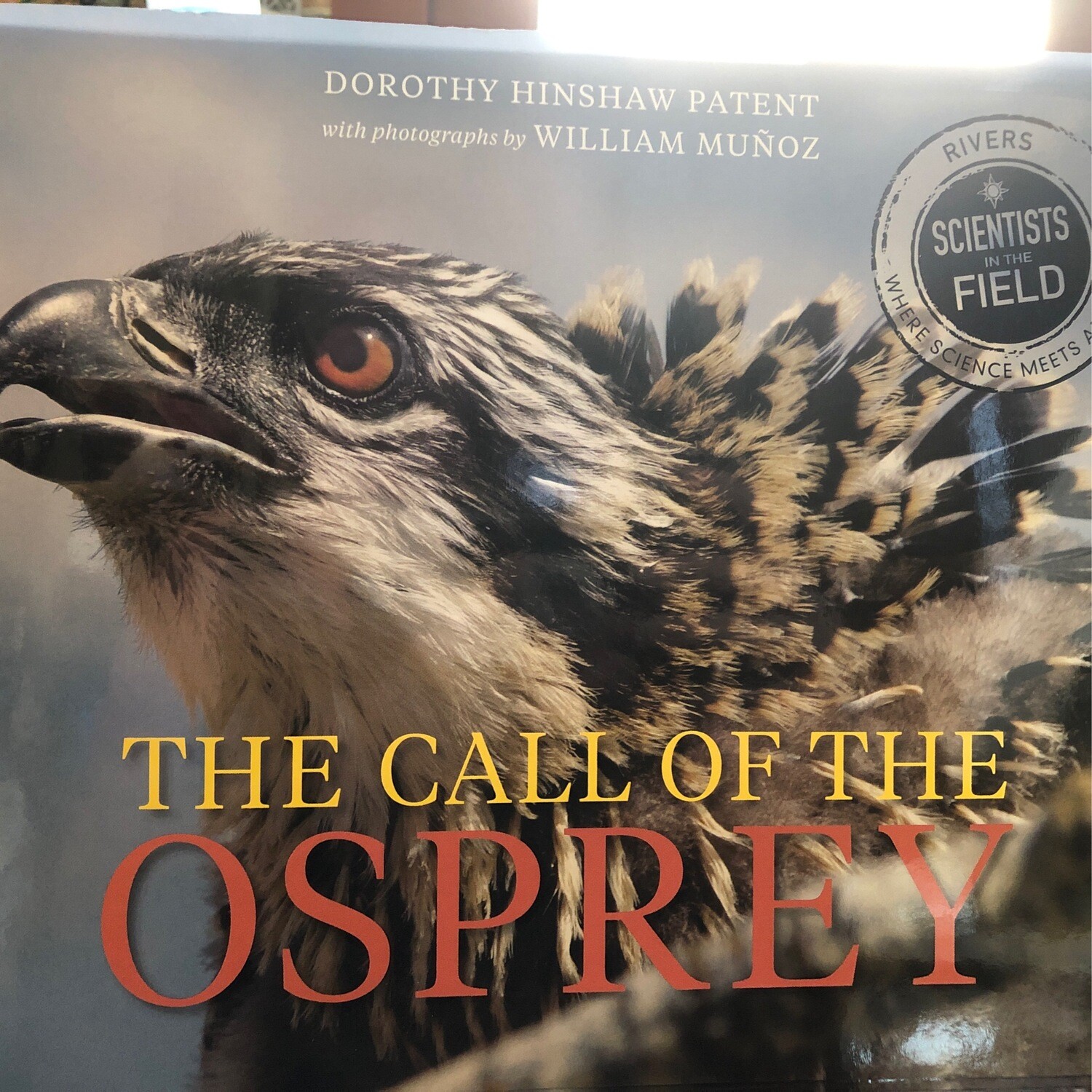 The Call Of The Osprey