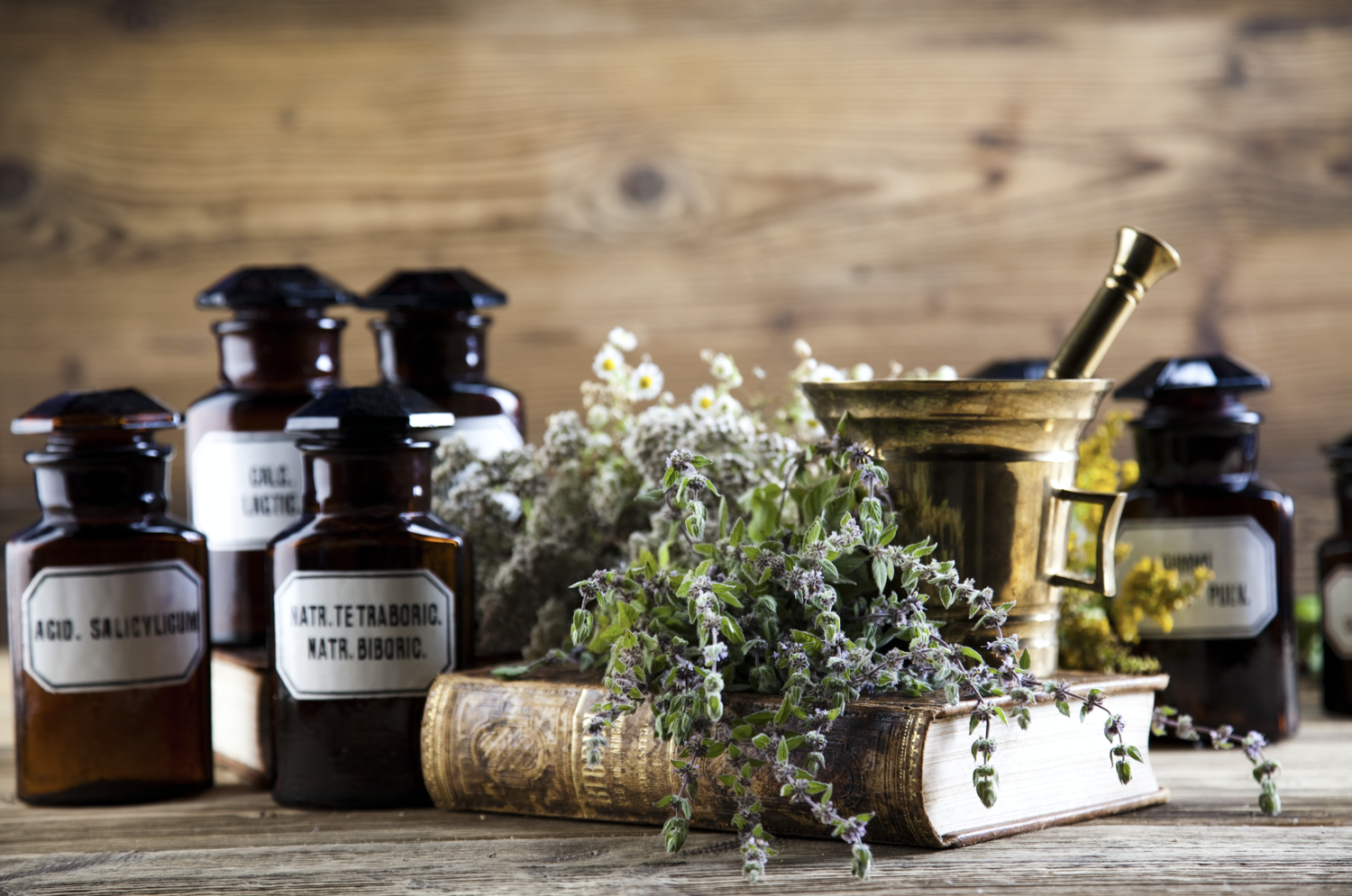 C.A.R.A. * tincture formulation: Cordyceps (Cordyceps sinensis) Dong Quai ( Angelica sinensis) root, Rhodiola (Rhodiola rosea) root , astragalus (Astragalus mongholcus) root.​
