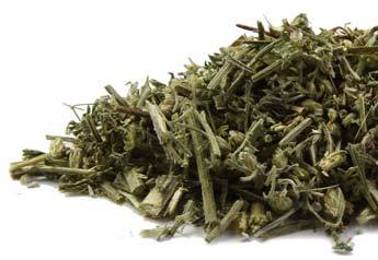 Yarrow