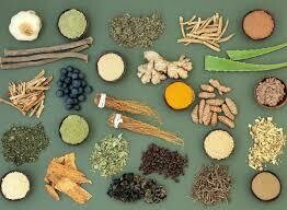 Adaptogen Blend 4oz bottle