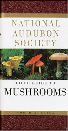 Field Guide of Mushrooms - National Audubon Society