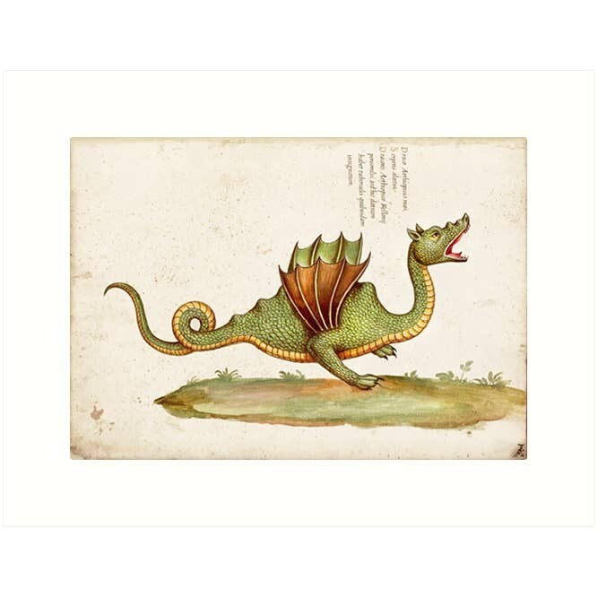 Dragon Card | Blank Card