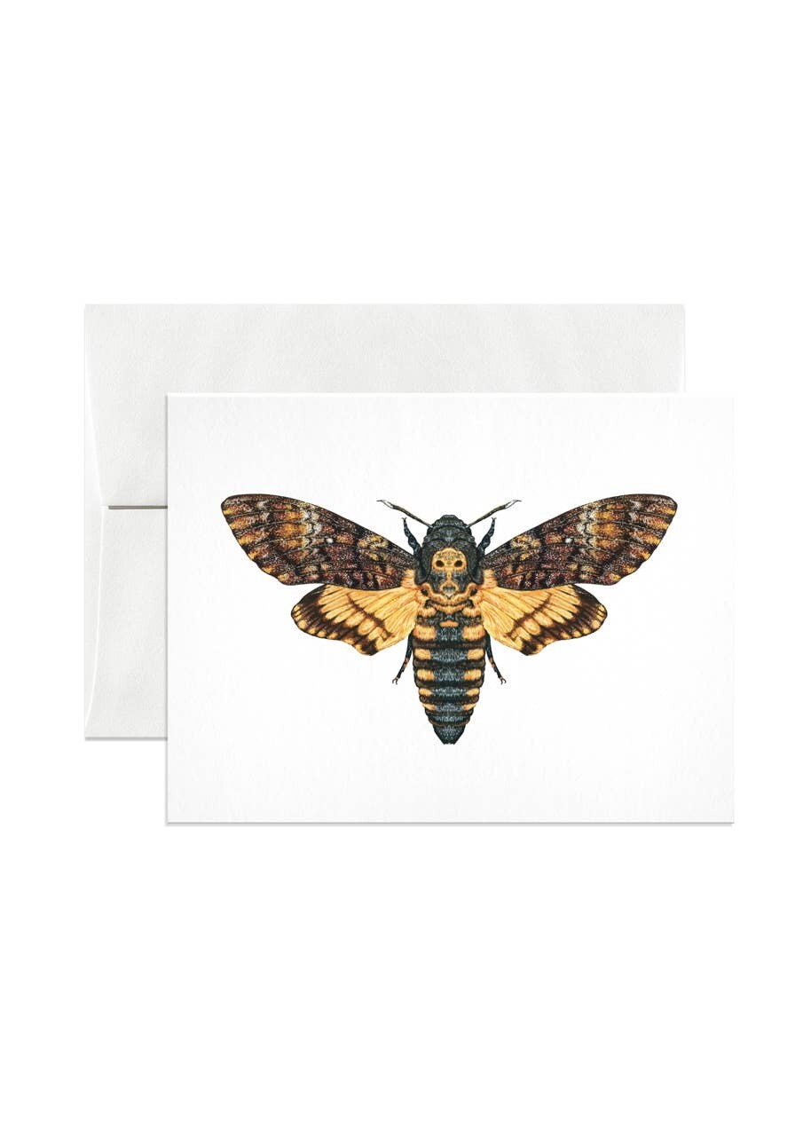 Death&#39;s-head Hawkmoth