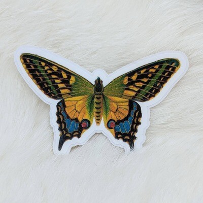 Green Butterfly Moth Sticker