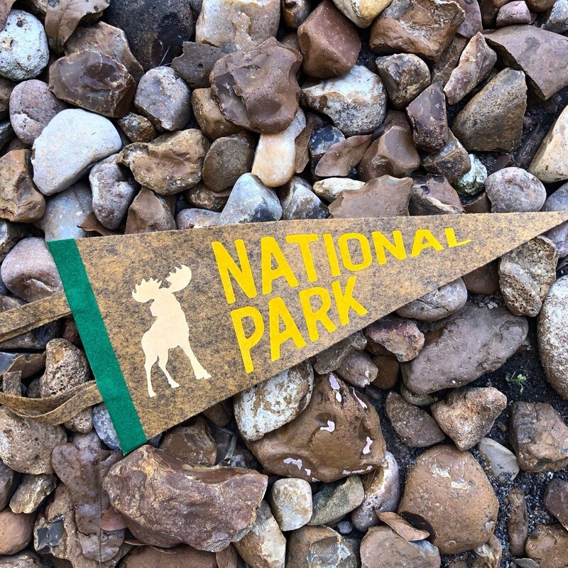 National Park Moose Pennant