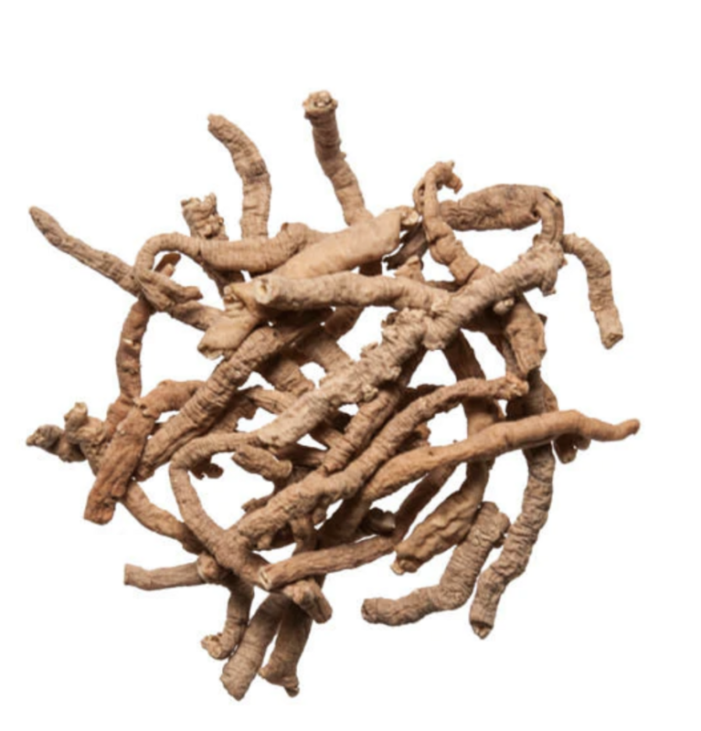 Chinese Senega Polygala Tenuifolia Natural Extract  Tincture