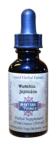 Fresh Real Wasabi  Wasabia japonica Natural Extract  Tincture