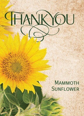 Thank You - Mammoth Sunflower seed packet