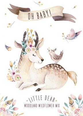 Oh Baby Woodland Deer Bouquet Wildflower Mix seed packet