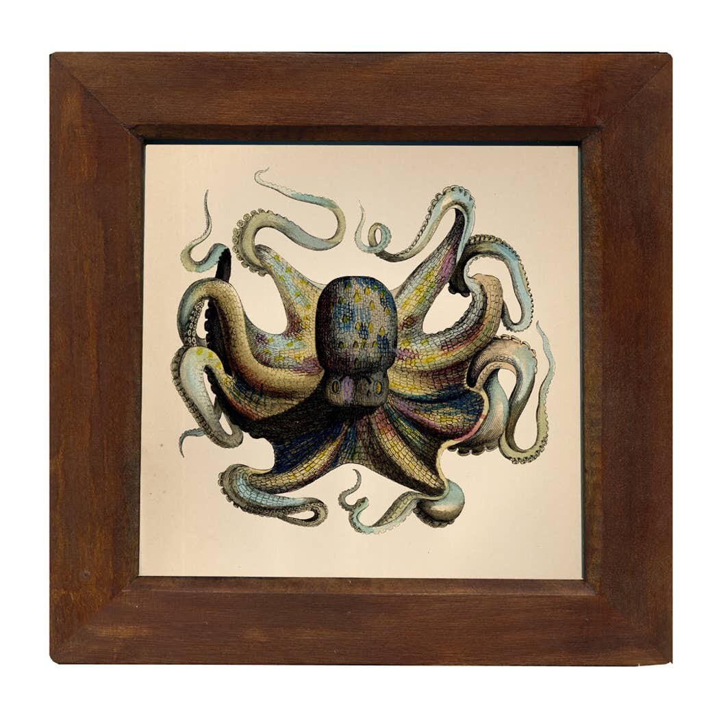 9-3/4&quot; x 9-3/4&quot; Octopus Framed Print Behind Glass