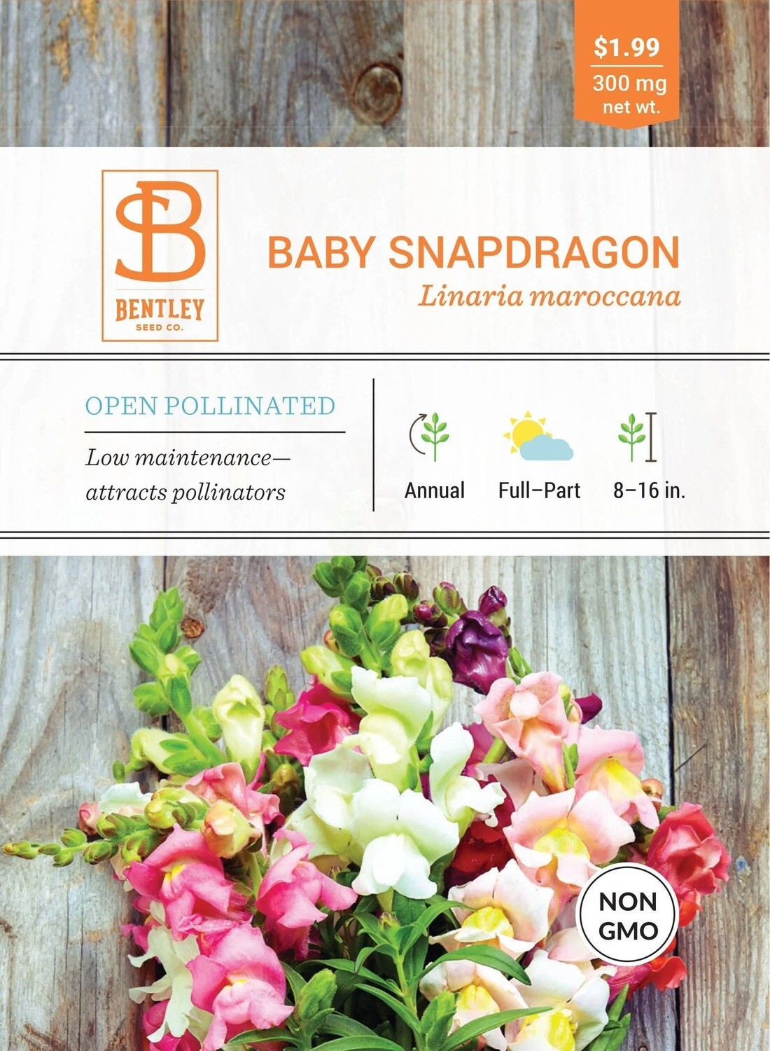 Baby Snapdragon-Mixed-Linaria Maroccana