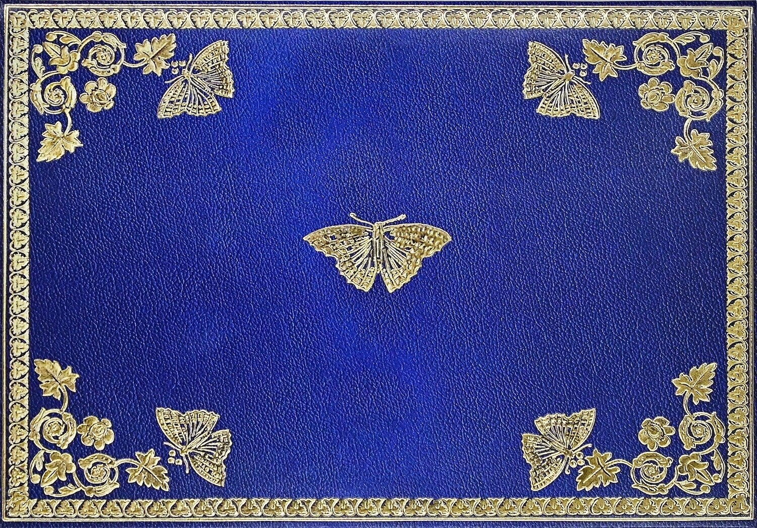 Gilded Butterflies Note Cards (14 Cards