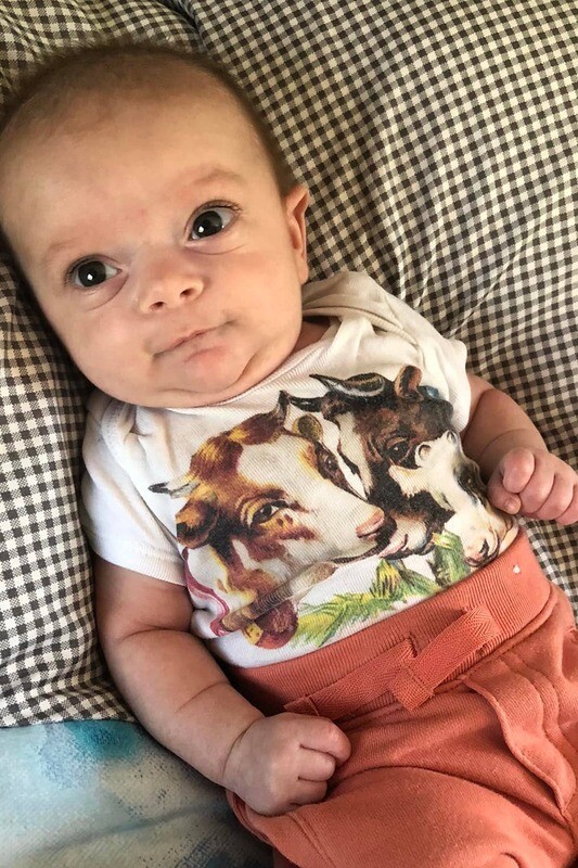 Cow Family One Piece Baby Bodysuit
