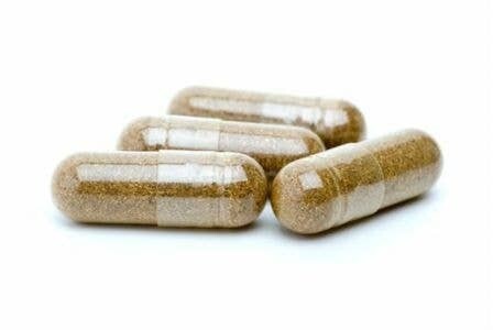 Napiers Japanese Knotweed 350mg 150 Capsules