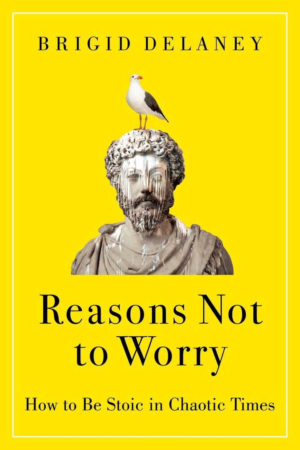 Reasons Not to Worry - by Brigid Delaney (Hardcover)
