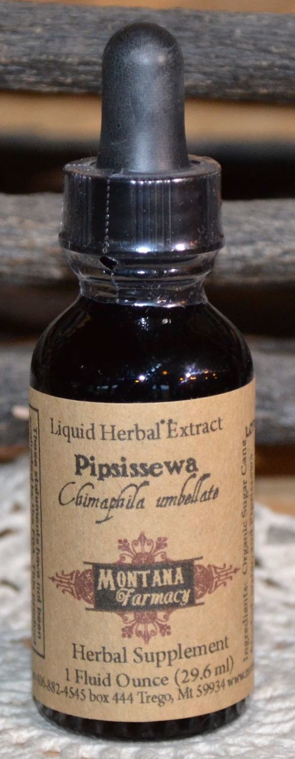 Pipsissewa Natural Extract Tincture ( chimaphila umbellata)