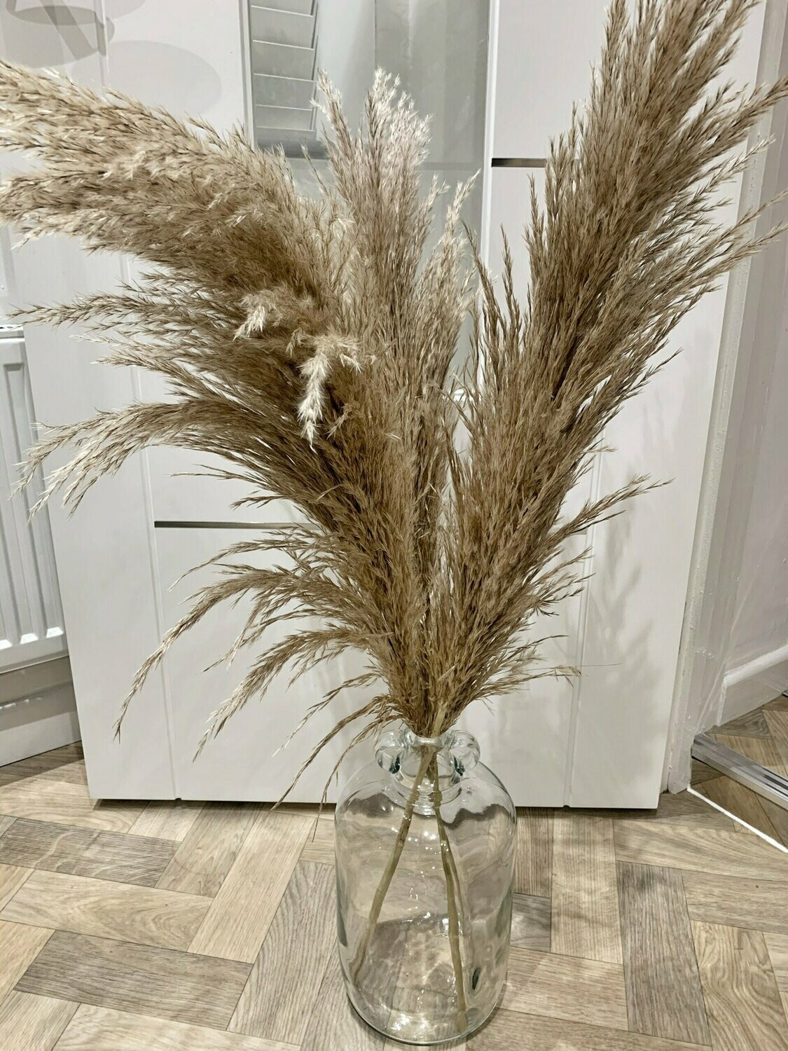Large Fluffy Cortaderia Grass (3 Stems)