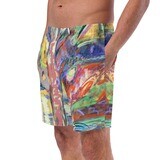 Windy Rosario Men's Swim Shorts