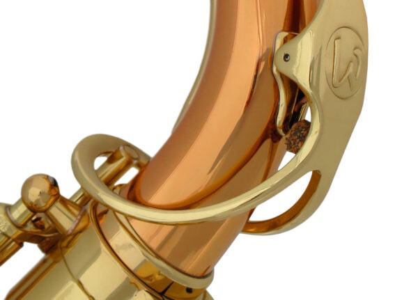 Saxophone Alto Advences Série J Saxophone Alto Advences Série J