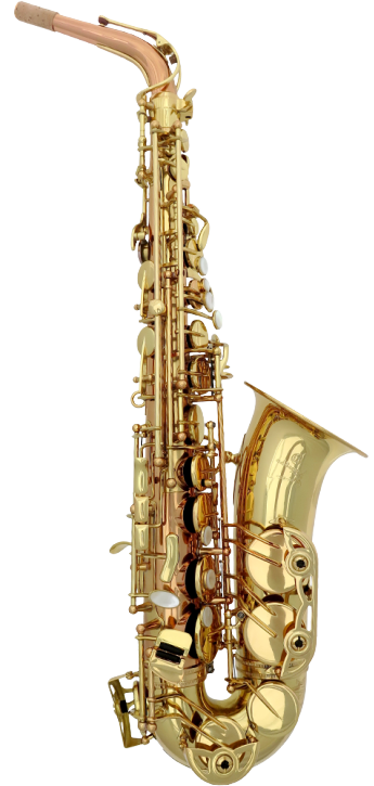 Saxophone Alto Advences RJ