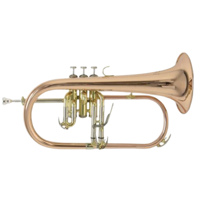 Bugle Bach FH501 verni SIb