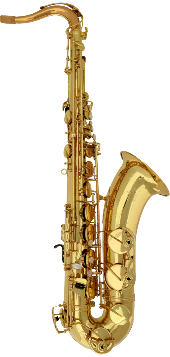 Saxophone Ténor Advences Série J