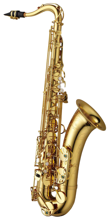 Saxophone Ténor Yanagisawa T-WO1